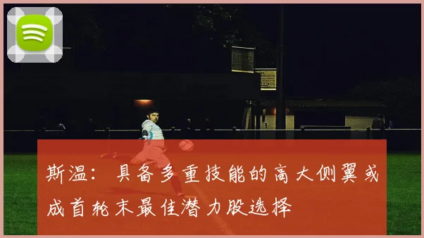 斯温：具备多重技能的高大侧翼或成首轮末最佳潜力股选择